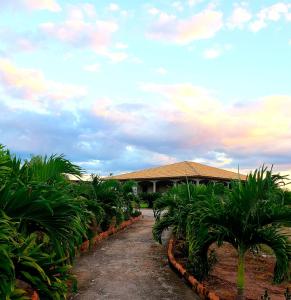 a path through a bunch of palm trees in front of a building at Dexamano Hotel & Resort in Lejamaní