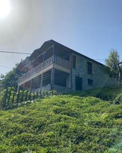 a house sitting on top of a grassy hill at MİNTONA VİLLA SUİT in Çamlıhemşin