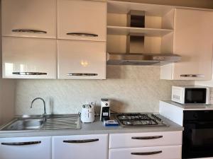 A kitchen or kitchenette at Piccadilly Penthouse with Jacuzzi