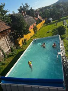 Casa de oaspeti Anciupi Vendeghaz في براد: مجموعة أشخاص يسبحون في مسبح