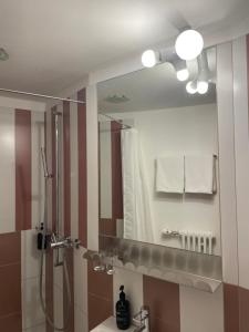 Koupelna v ubytování Hotel Adler Garni