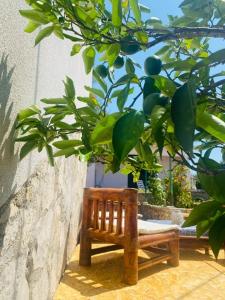Zahrada ubytování Island Šolta Comfort apartment Modesty
