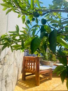 Zahrada ubytování Island Šolta Comfort apartment Modesty