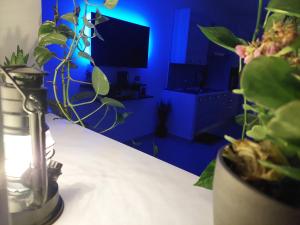 波佐利的住宿－Pozzuoli Centrum - Appartamento Privato nel centro storico di Pozzuoli，蓝色的房间,配有桌子、植物和灯