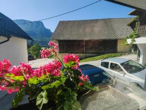 Φωτογραφία από το άλμπουμ του Apartma Bela σε Bohinjska Bela