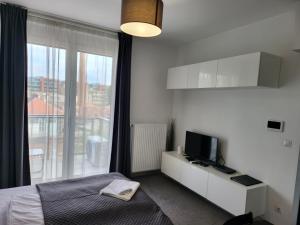 a bedroom with a bed and a tv and a window at SDP Meder B401 Apartment in Budapest