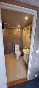 een badkamer met een toilet en een wastafel bij Atlanterhavsveien Rorbuer in Averoy