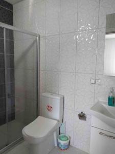 a bathroom with a toilet and a shower and a sink at Denize Karşı Huzur Dolu Komple Kır Evi 