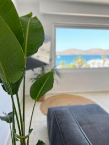 a large green plant in a room with a table at Elounda Port Apartment in Elounda