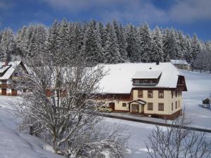 a house covered in snow with trees in the background at Haus Brunner in Grafenhausen