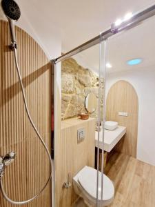 a bathroom with a shower with a toilet and a sink at PEREGRINA in Villanueva de Arosa
