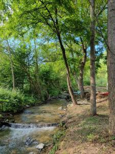 a stream in a forest with trees at Apartmani kod Kmeta in Janja