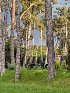 eine Gruppe von Bäumen im Gras mit einem Zaun in der Unterkunft Hotel უცხო-utskho in Telawi