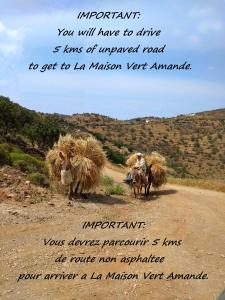 a man riding a horse with two oxen carrying hay at La Maison Vert Amande in Spathi 