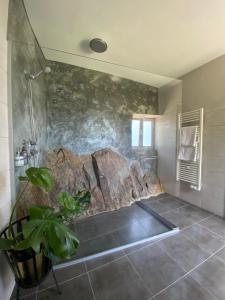 a bathroom with a shower and a stone wall at Casa de Carrapatelo in Mesão Frio