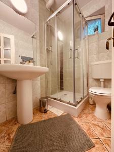 a bathroom with a shower and a sink and a toilet at Greenery home in Miercurea-Ciuc