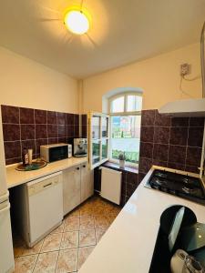 eine Küche mit einer Spüle und einer Arbeitsplatte in der Unterkunft Greenery home in Miercurea Ciuc