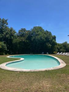 uma pequena piscina de água na relva em Palácio da Quinta da Portela II em Coimbra