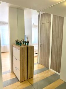 a room with a cabinet with potted plants on it at WHY NOT Apartament w centrum, ul. Gimnazjalna 12/1 in Zakopane