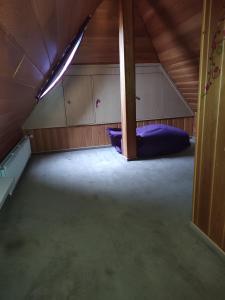 a large room with a bed in a attic at Appartement am Waldesrand in Gifhorn