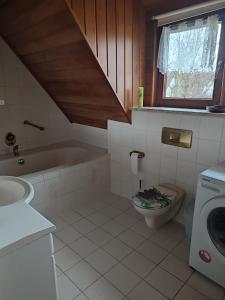 een badkamer met een toilet, een wastafel en een wasmachine bij Appartement am Waldesrand in Gifhorn