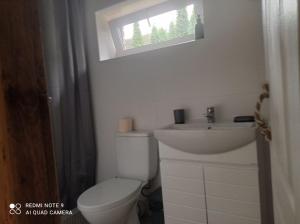łazienka z toaletą, umywalką i oknem w obiekcie Садиба Живиця w mieście Kozlin