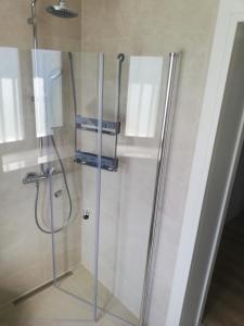 a shower with a glass door in a bathroom at Maestro I. in Laško