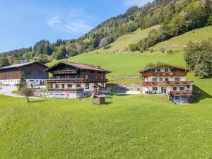 a group of buildings in a grassy field next to a mountain at Almliesl GOLD-706 in Goldegg