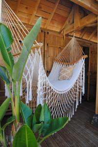 a hammock in a house with a plant at Chateau de Montchoisy in Chezelle +8 photos
