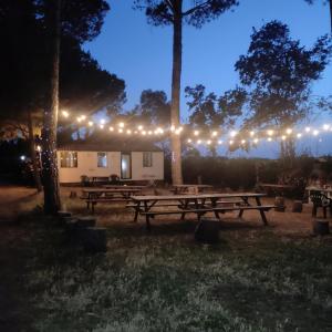 un gruppo di tavoli da picnic in un parco con luci di Villaggio Mithos a Misano Adriatico
