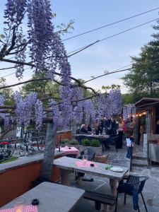 un árbol cubierto de glicinas púrpuras en un patio en Grotto del Pan Perdü, en Carona