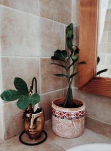 two potted plants sitting on a counter in a bathroom at Old Town Apartment in Liptovský Mikuláš