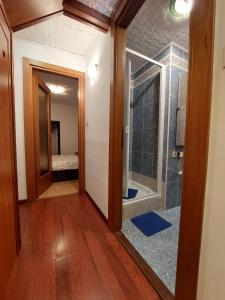 a bathroom with a walk in shower next to a glass door at Elim in Rovinj