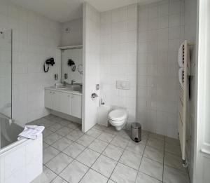 a white bathroom with a toilet and a sink at La Souveraine in Contrexéville