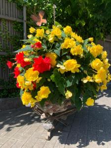 una cesta llena de flores en una bicicleta en Smiltelė, en Palanga