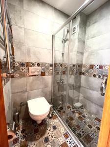 a bathroom with a toilet and a shower at Authentic Turkish Home in Istanbul