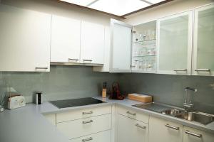 Virtuvė arba virtuvėlė apgyvendinimo įstaigoje Room "Carpe Diem"