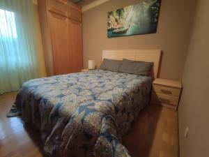 um quarto com uma cama com um edredão azul em apartamento centro em Vitoria-Gasteiz