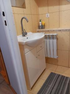 a bathroom with a sink in a room at Dom gościnny u Krupów in Polańczyk