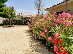eine Reihe rosa Blumen vor einem Haus in der Unterkunft Villa La Voile au Vent - Sur les collines de la Cadière d'Azur - Villa spacieuse, 4 chambres, climatisée avec piscine à débordement, Vue mer et collines in Laouque