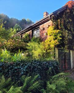 une vieille maison avec des plantes sur son côté dans l'établissement Jemna 55, à Jemna