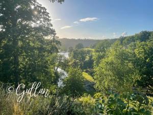 Příroda nedaleko apartmánu + 8 fotografií