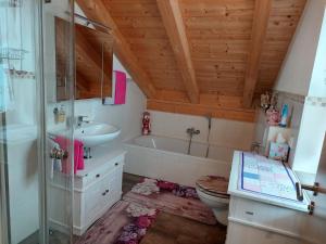 a bathroom with a sink and a toilet and a shower at Ferienwohnung Abendrot in Aßling