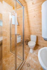 a bathroom with a toilet and a sink at Alpine chalet NIRVANA in Borovets