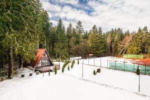 a snow covered yard with a house and a train at Alpine chalet NIRVANA in Borovets
