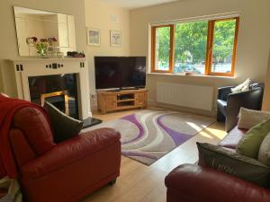 sala de estar con chimenea y TV en Lough Rynn-Lord Leitrim, en Rivers Town