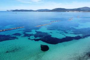 Naturlandskabet i nærheden af lejligheden + 7 billeder