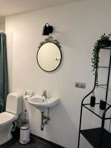 een badkamer met een wastafel en een spiegel aan de muur bij LillasLavender Kurzeme in Ošenieki