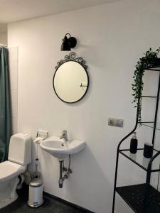 a bathroom with a sink and a mirror on the wall at LillasLavender Kurzeme in Ošenieki +20 photos