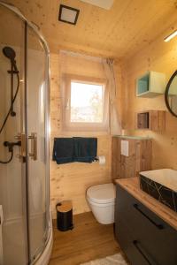 a bathroom with a toilet and a sink and a shower at Camp Ante-Gojko in Grebaštica
